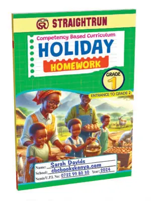 Grade 1 Holiday Homework Book
